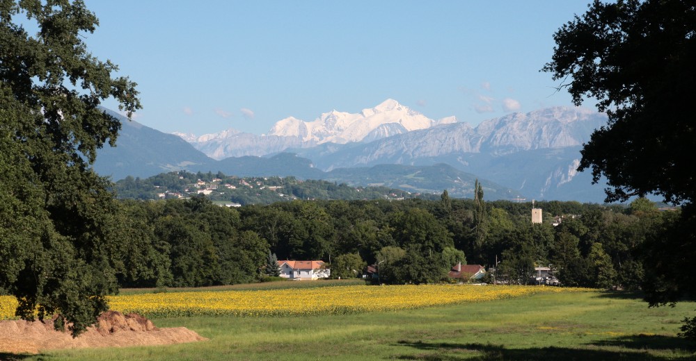 Vue du Mont-Blanc